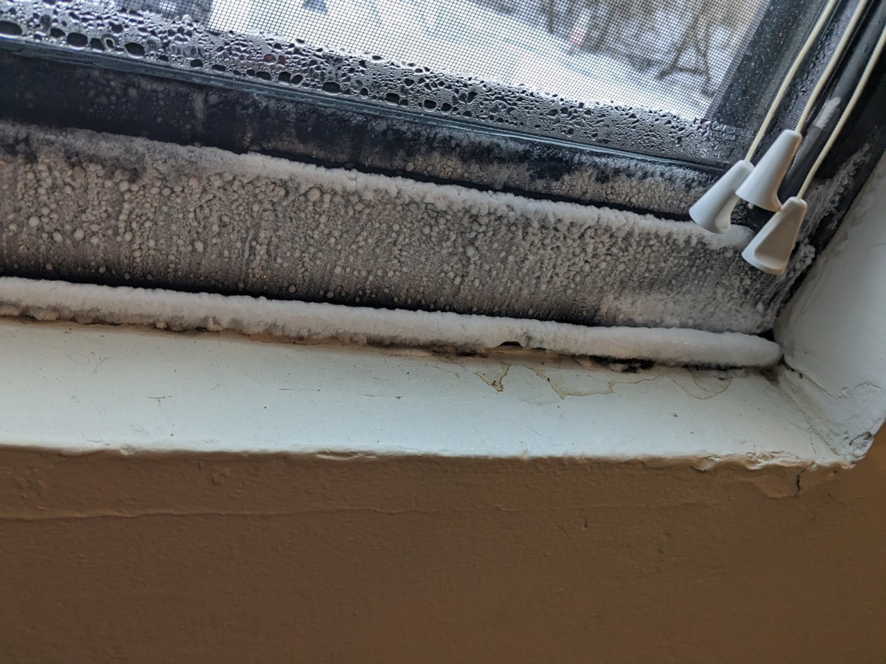 PXL_20221223_152035627.jpg