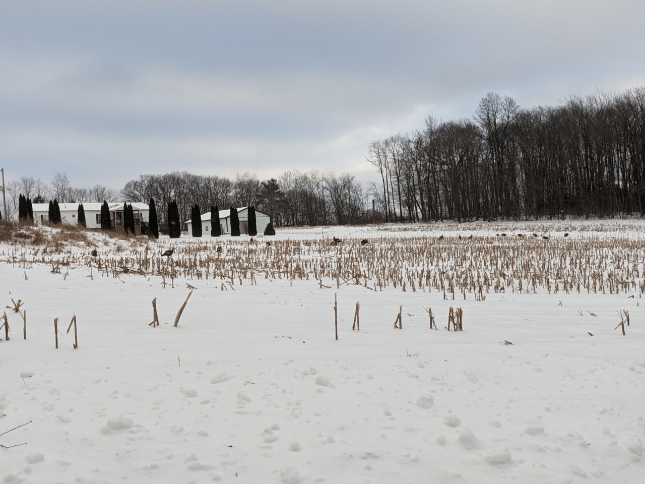 PXL_20221225_210123364.MP.jpg