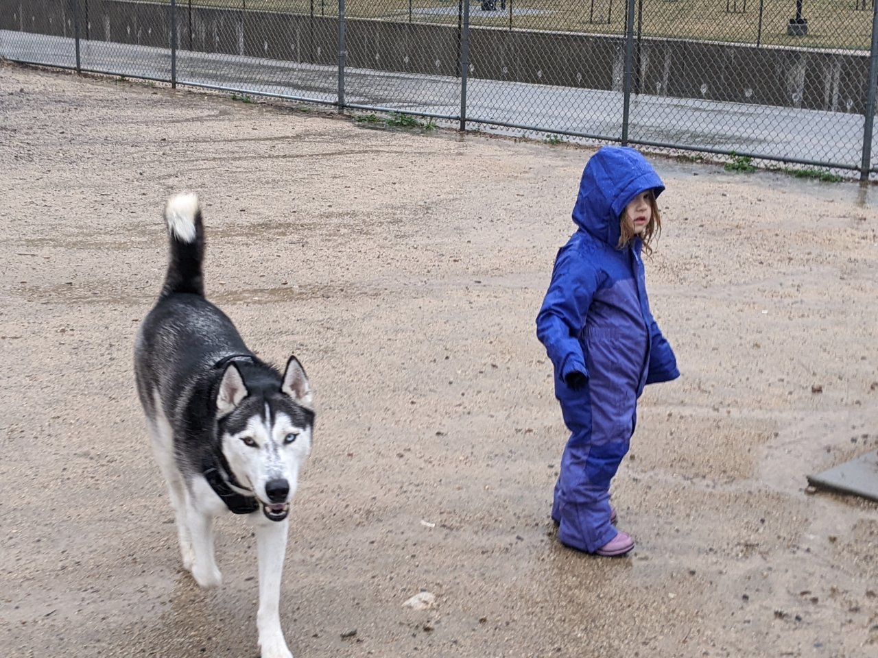 PXL_20230114_220727572.PORTRAIT.jpg
