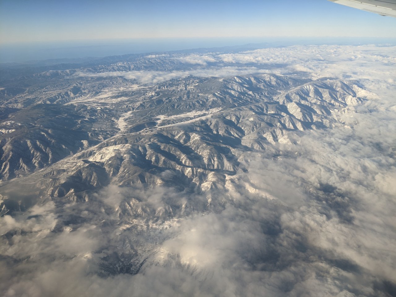 PXL_20230206_161625077.jpg