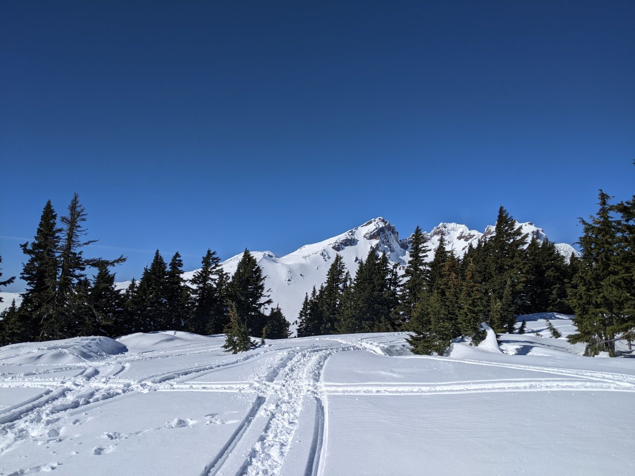 PXL_20230209_205442260.jpg
