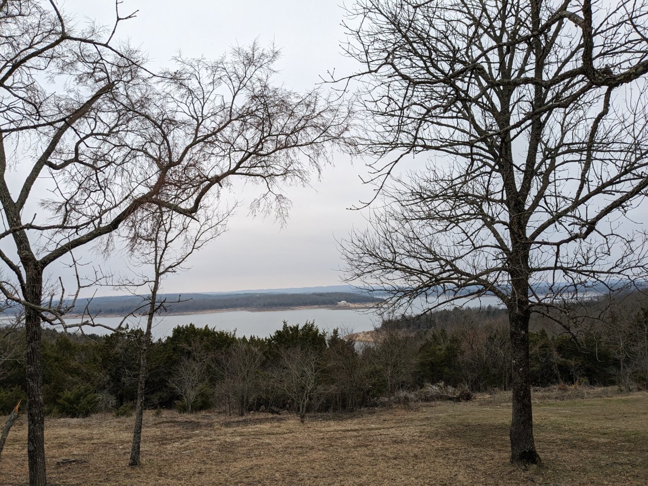 PXL_20230210_205010770.jpg