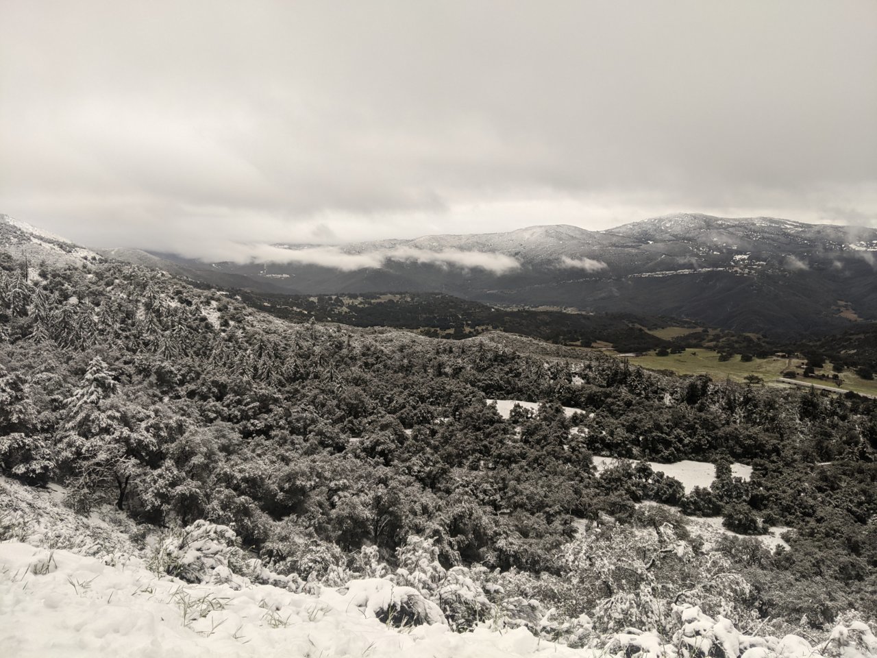 PXL_20230226_004030580.jpg