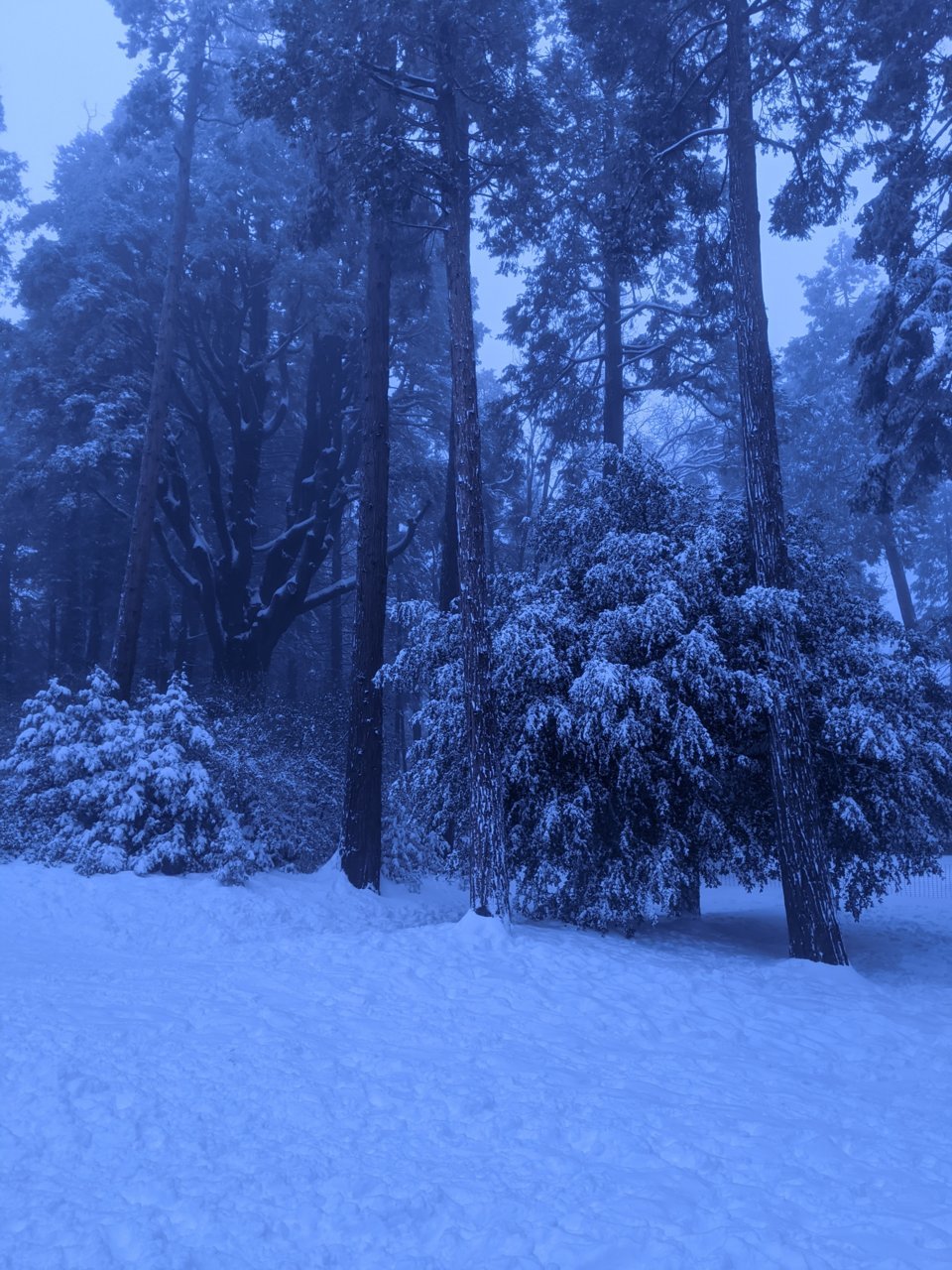 PXL_20230226_013655497.jpg