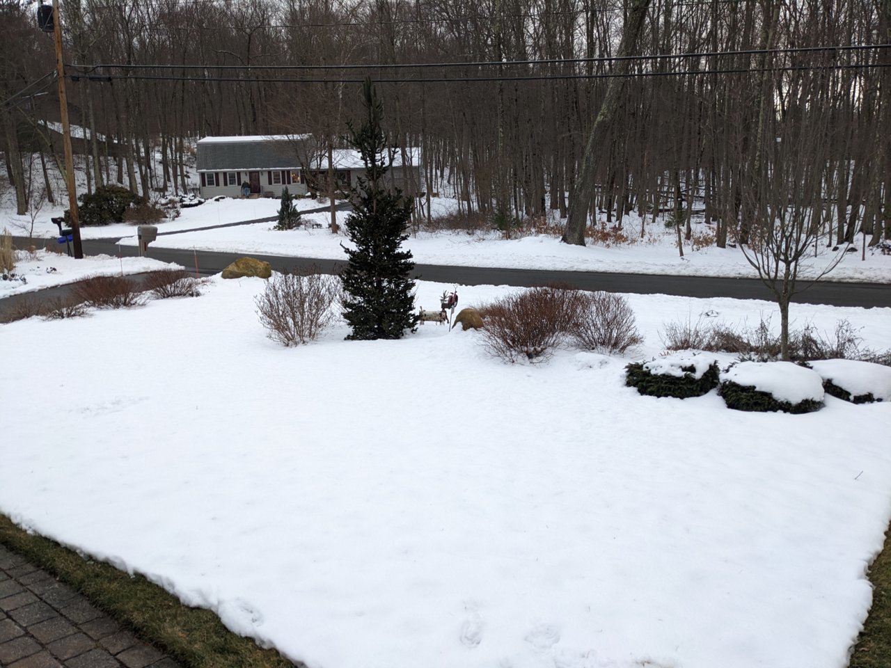 PXL_20230301_220357367.jpg