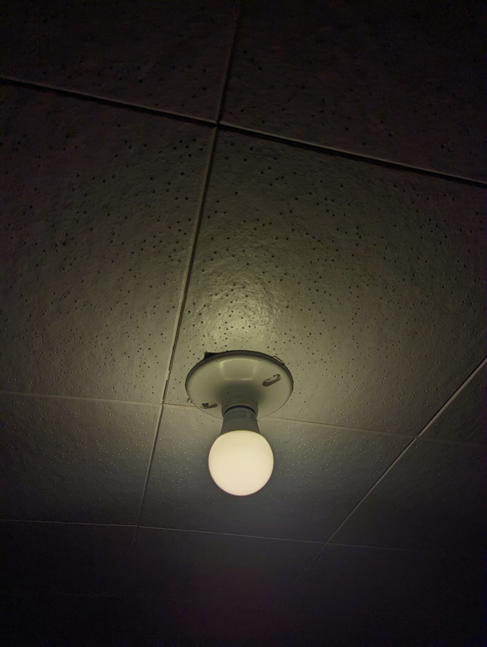 PXL_20230313_195213392.jpg