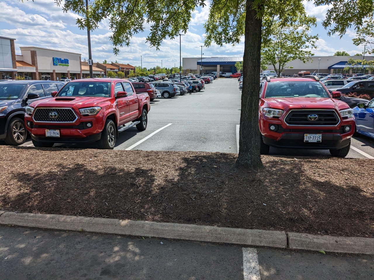 PXL_20230424_191716515.jpg