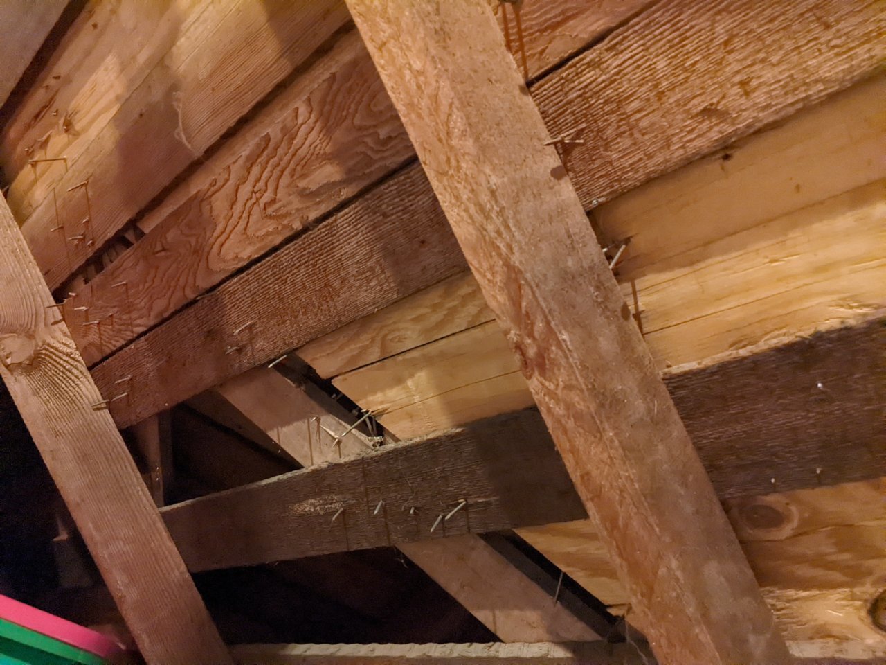 PXL_20230429_164019862.MP.jpg