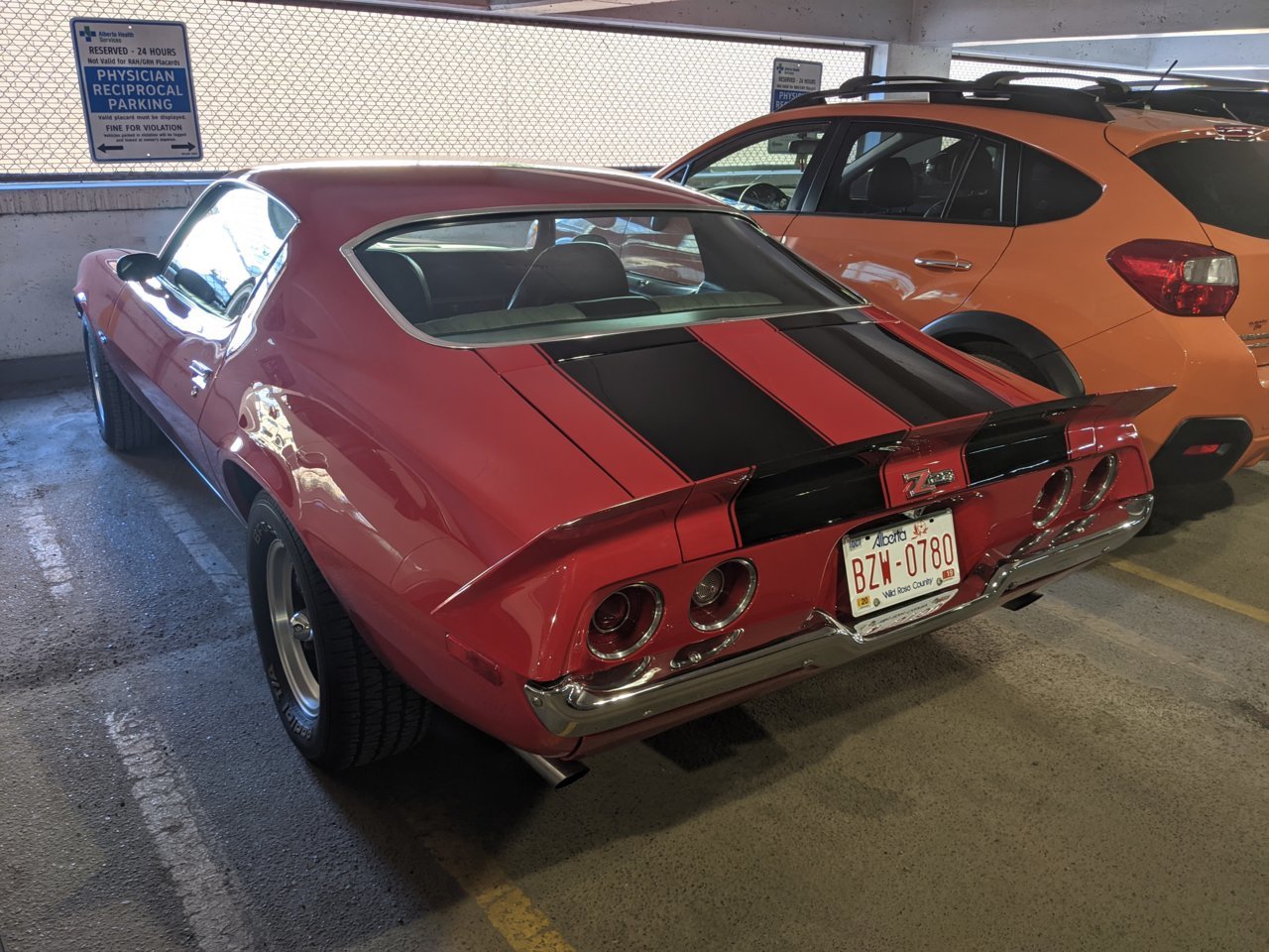 PXL_20230505_152230405.jpg