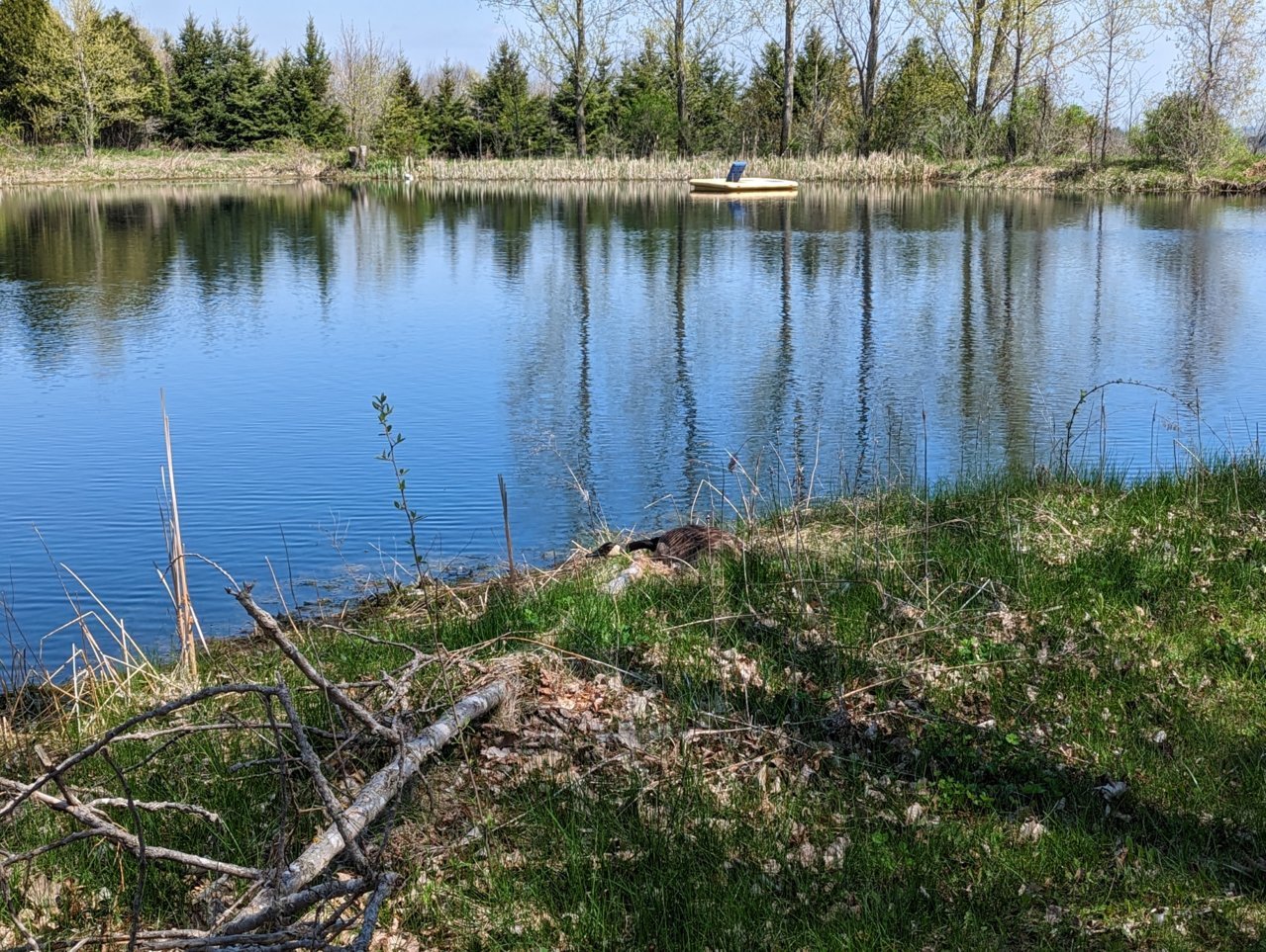 PXL_20230507_163519119.jpg