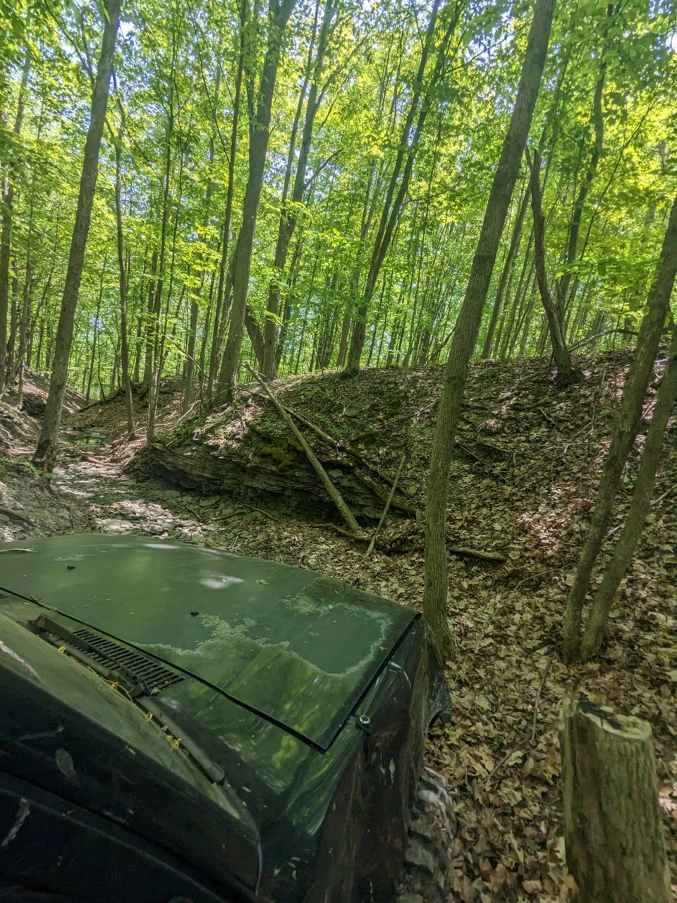 PXL_20230527_180217579.jpg