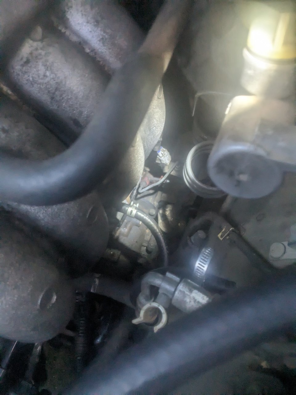 PXL_20230607_001953070.jpg