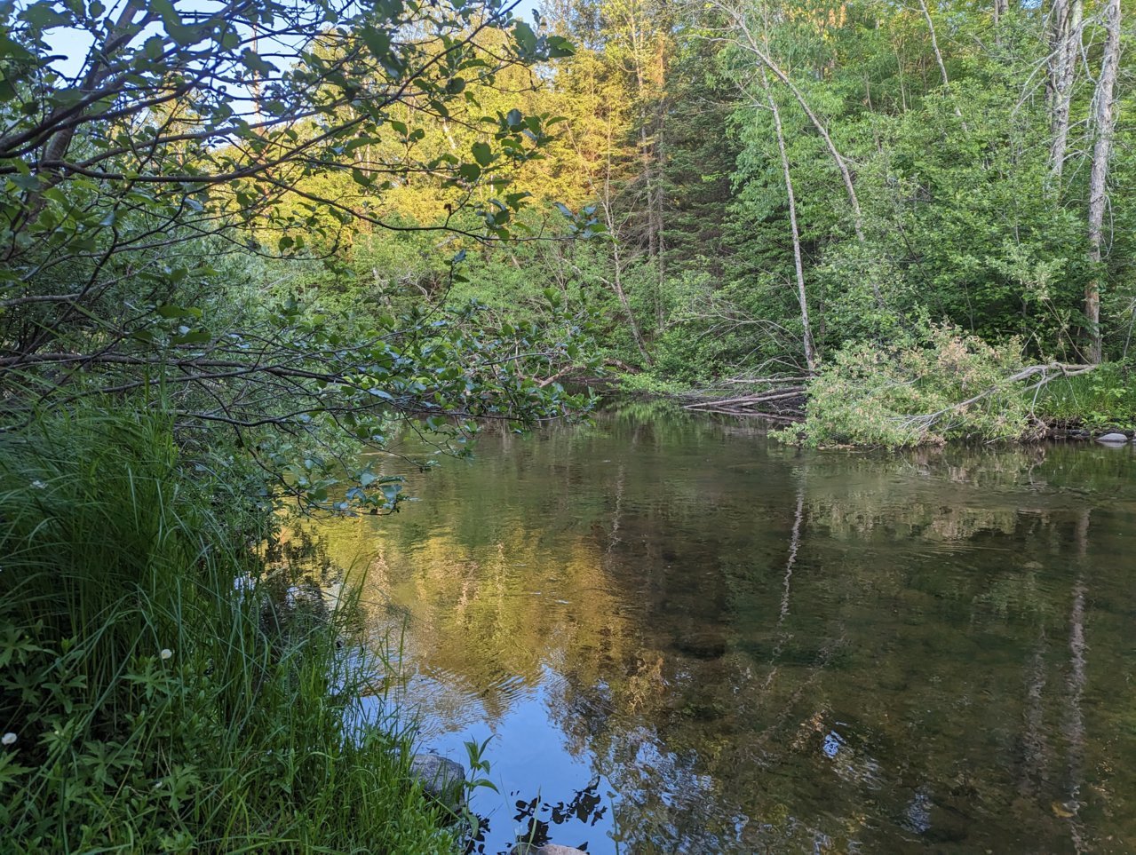 PXL_20230612_003747854.jpg