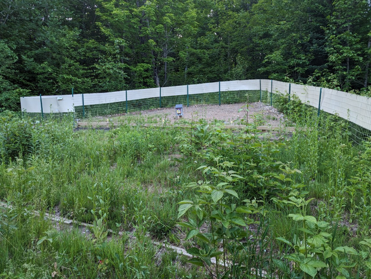 PXL_20230612_005658920.jpg