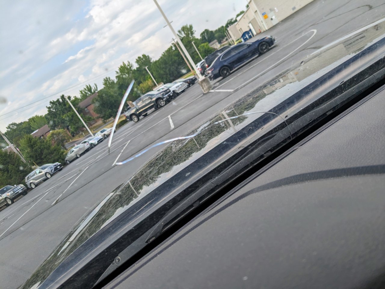 PXL_20230629_122242509.jpg