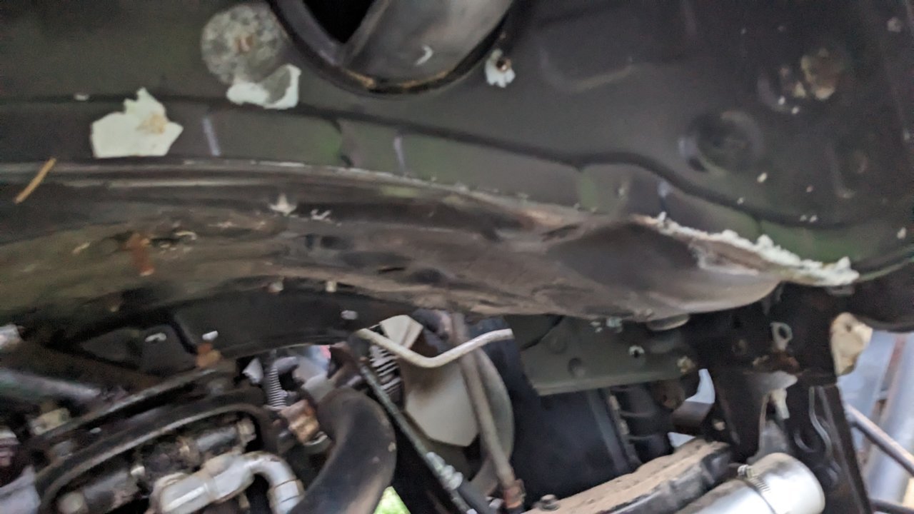 PXL_20230712_010616305.jpg