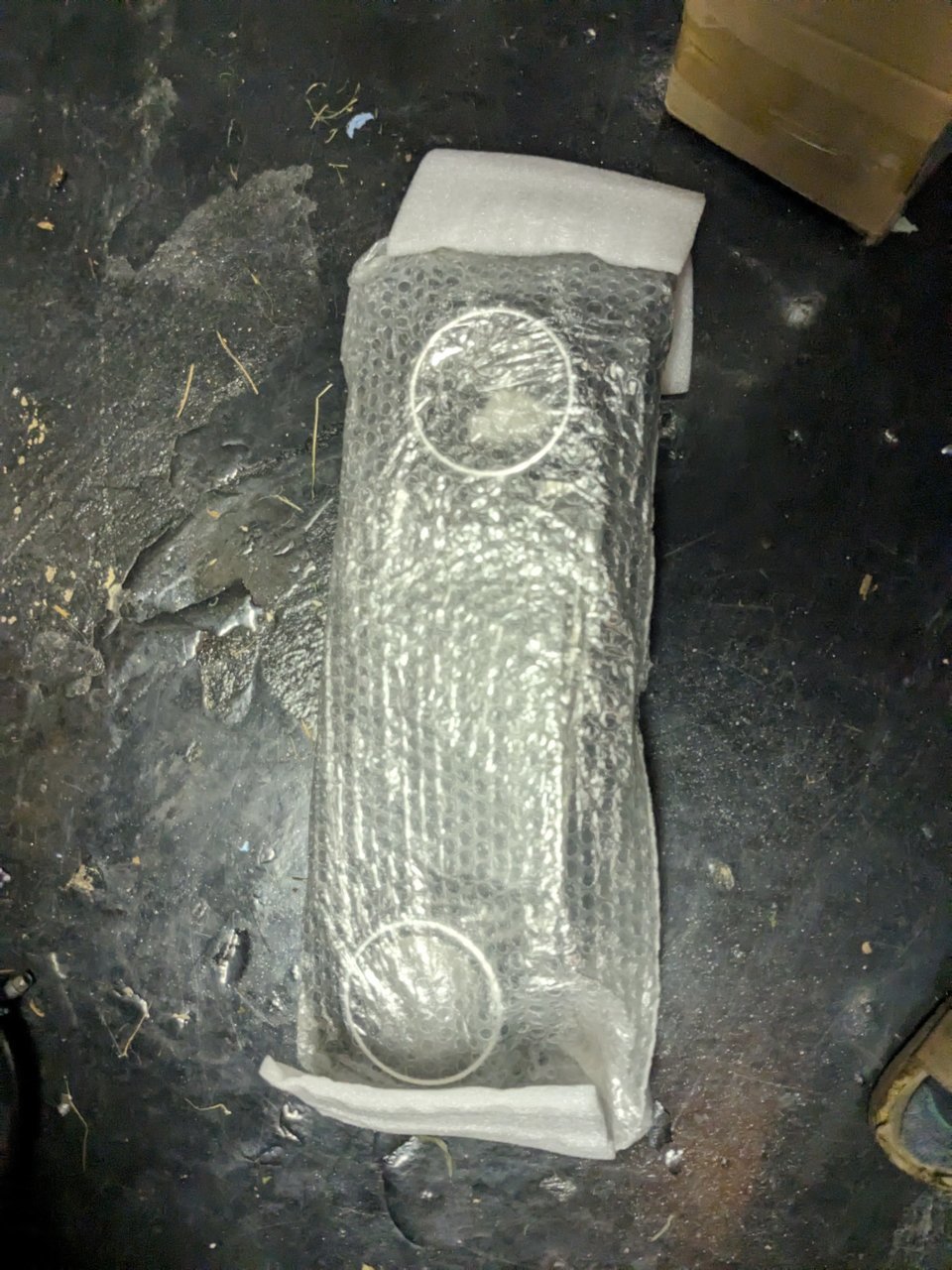PXL_20230712_032258626.jpg