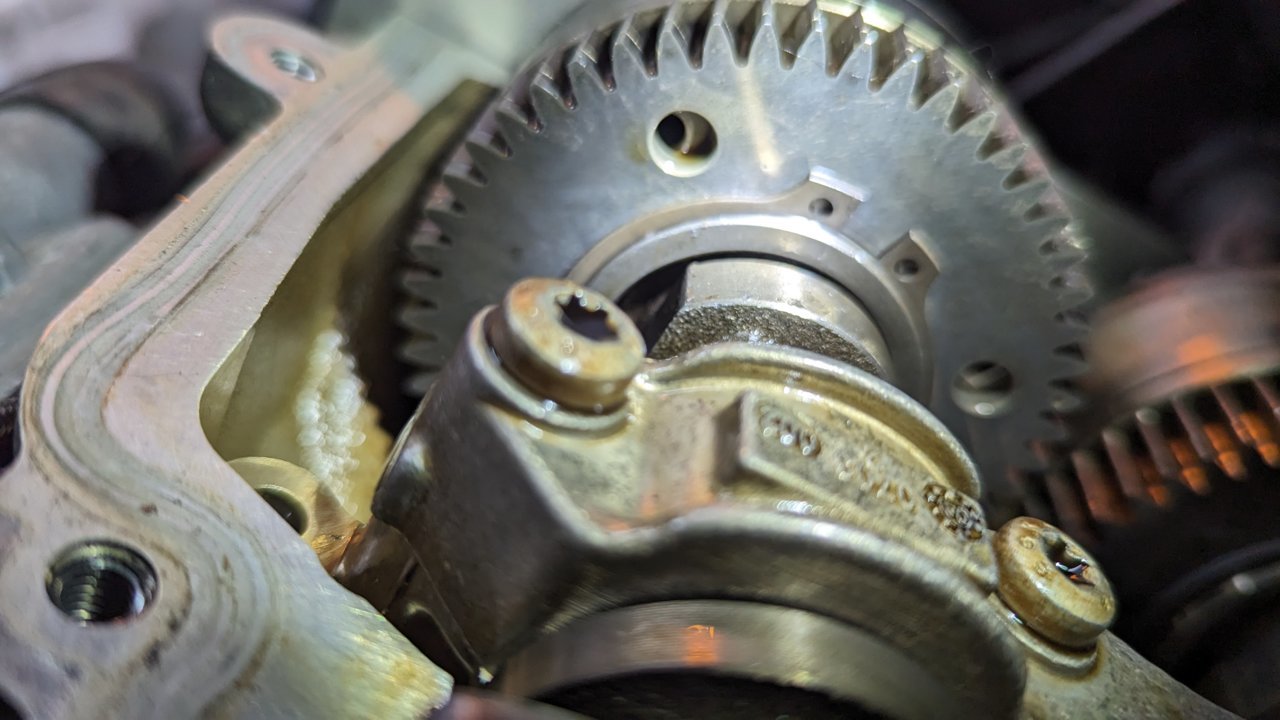 PXL_20230801_034804449.jpg