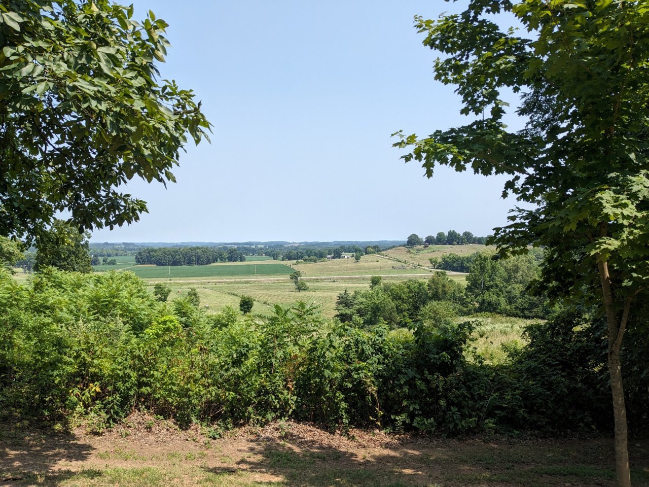 PXL_20230801_162450851.jpg