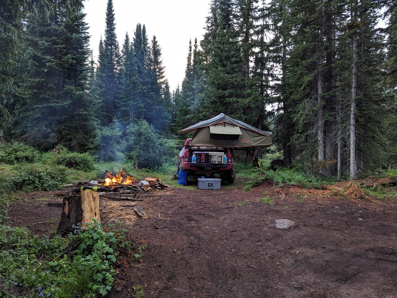 PXL_20230802_020849255.jpg