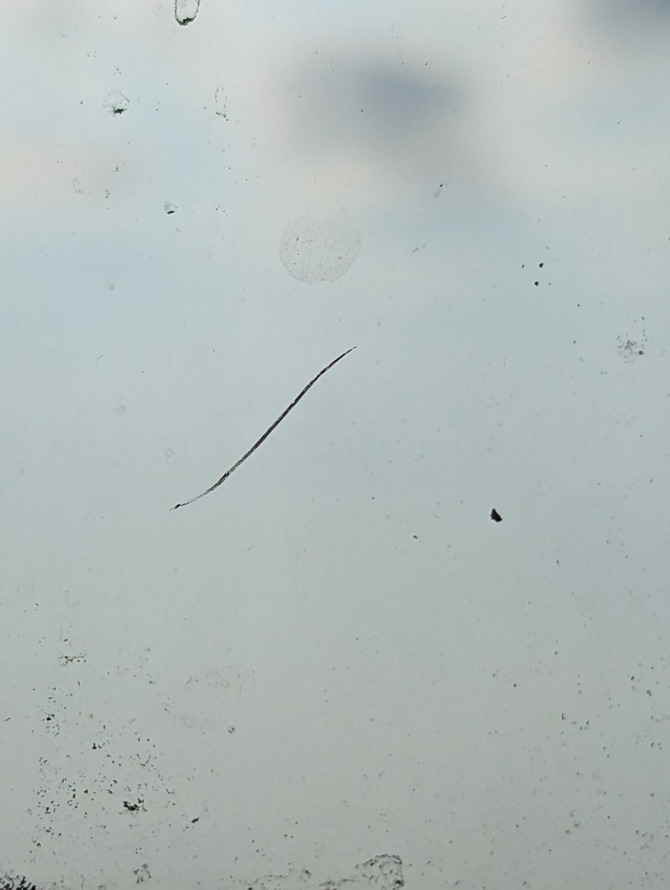 PXL_20230803_132332240.jpg