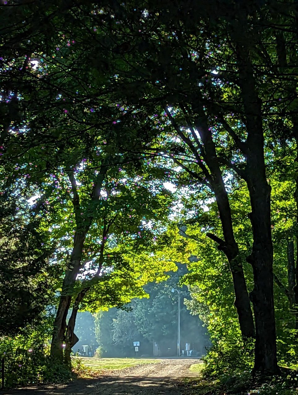 PXL_20230812_122404200.jpg