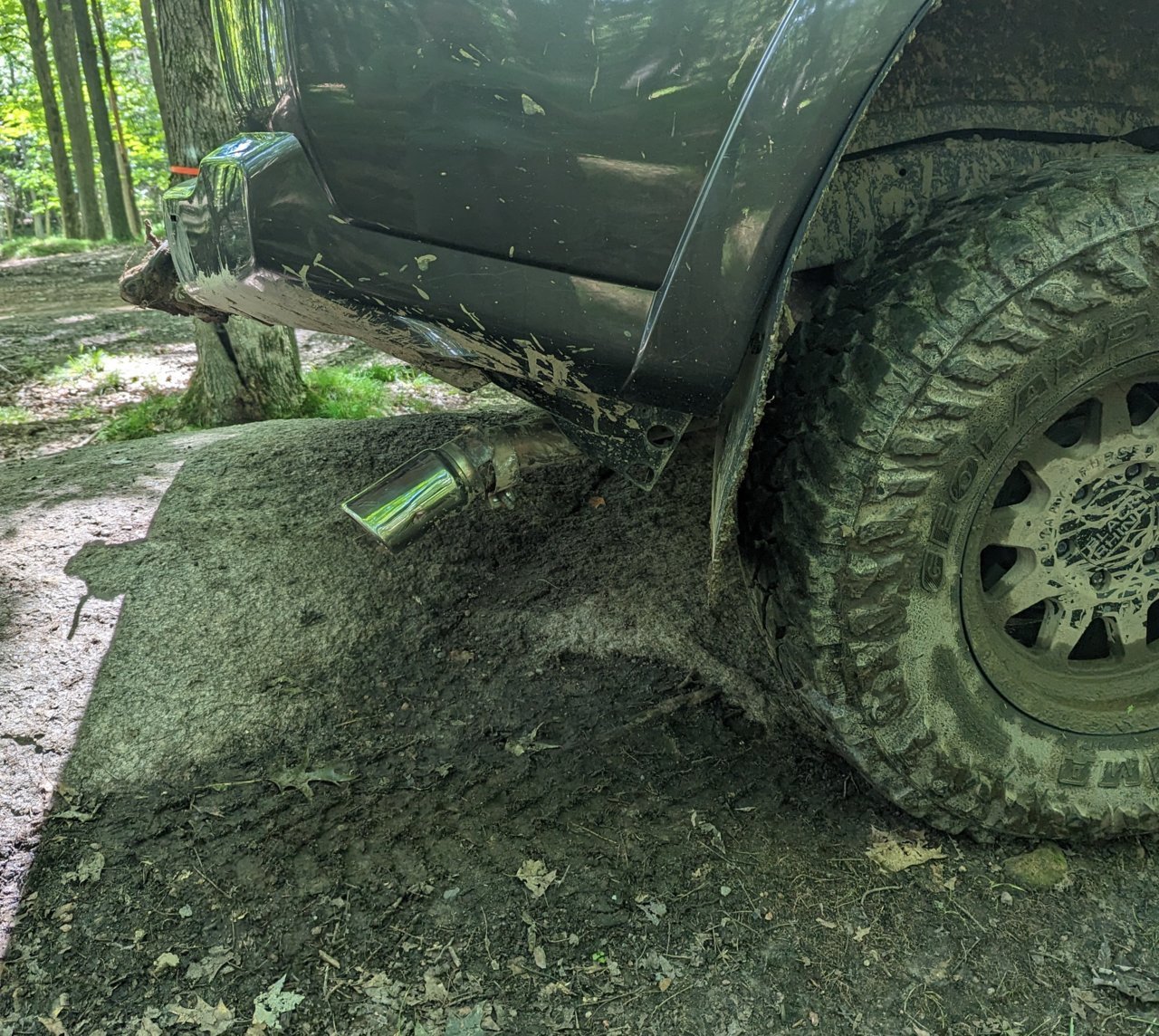 PXL_20230812_160219628.MP.jpg