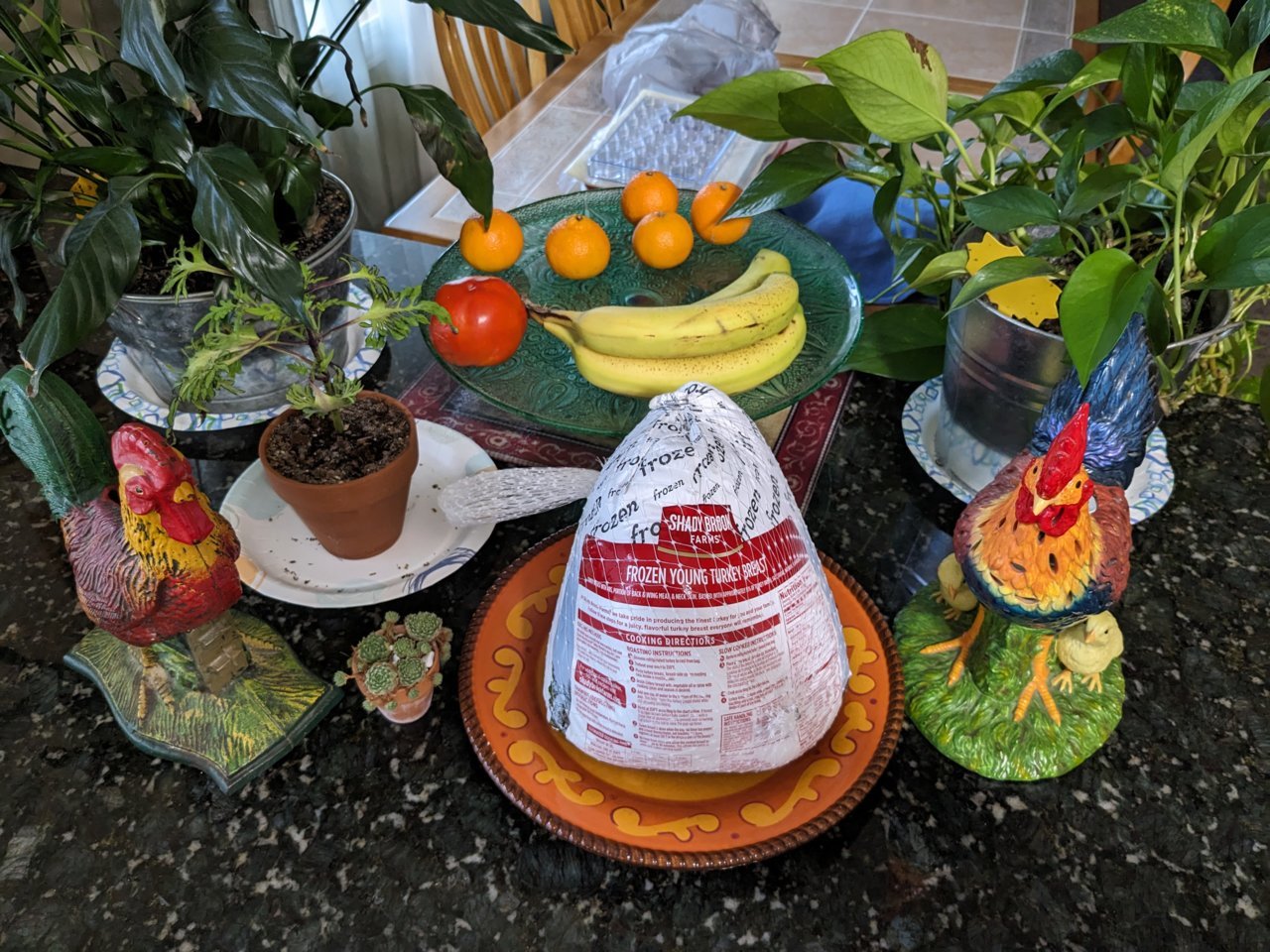 PXL_20230824_224228808.jpg