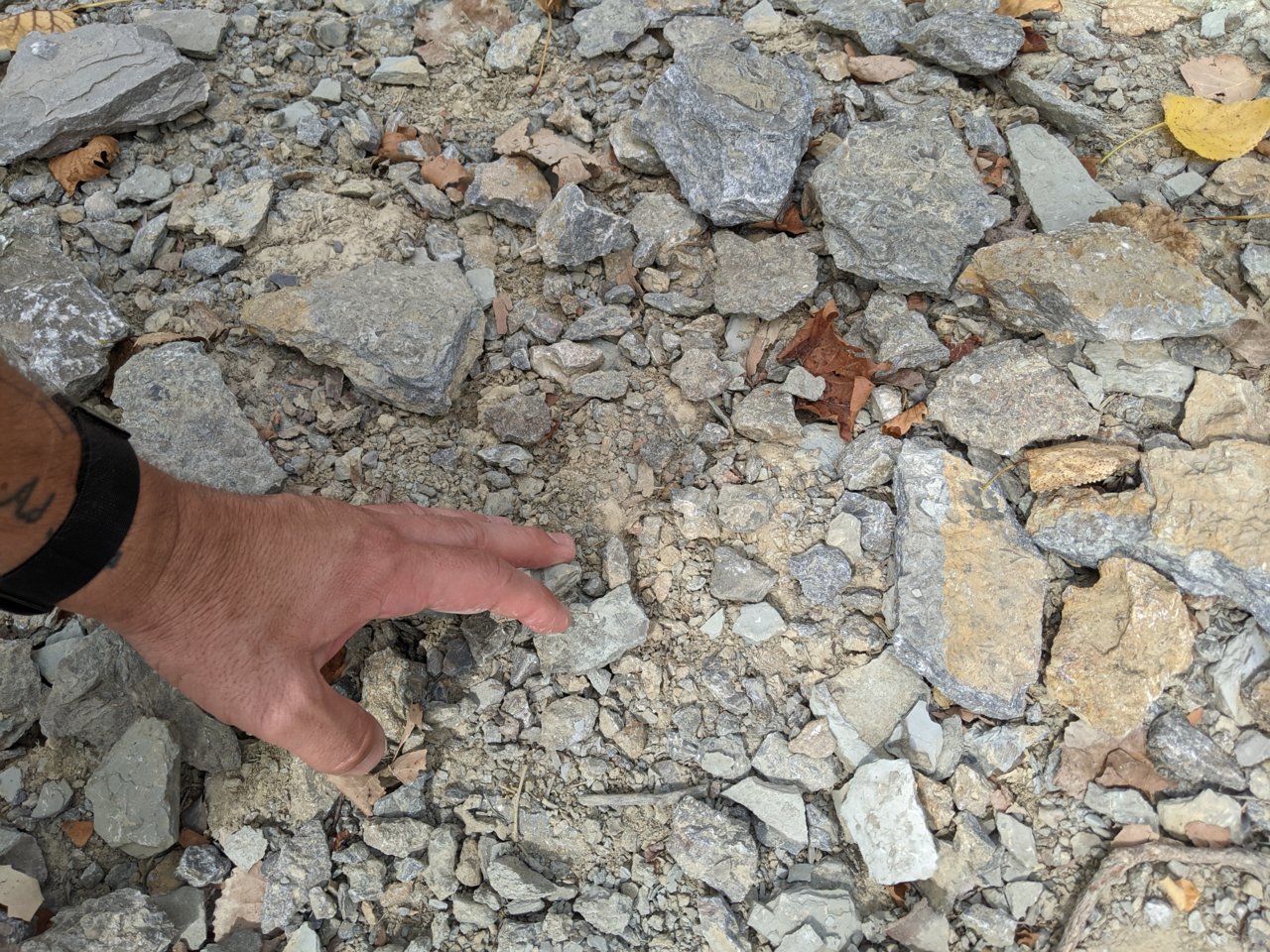 PXL_20230906_152316417.MP.jpg