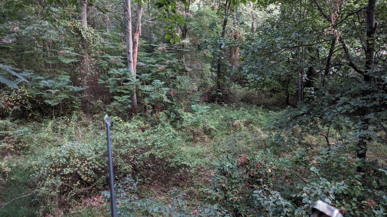 PXL_20230916_102858469.jpg