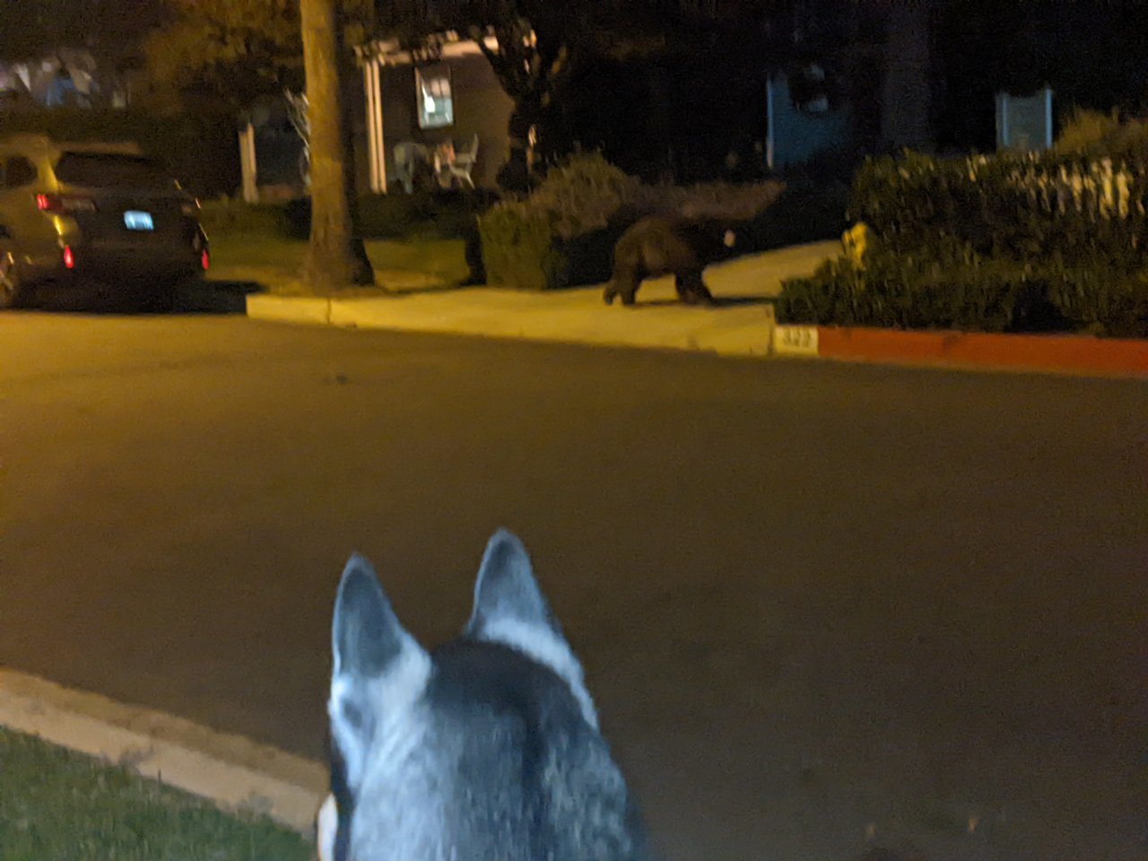 PXL_20230923_040012013.jpg