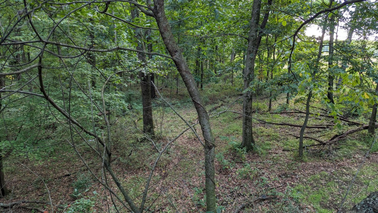PXL_20230930_205926396.jpg