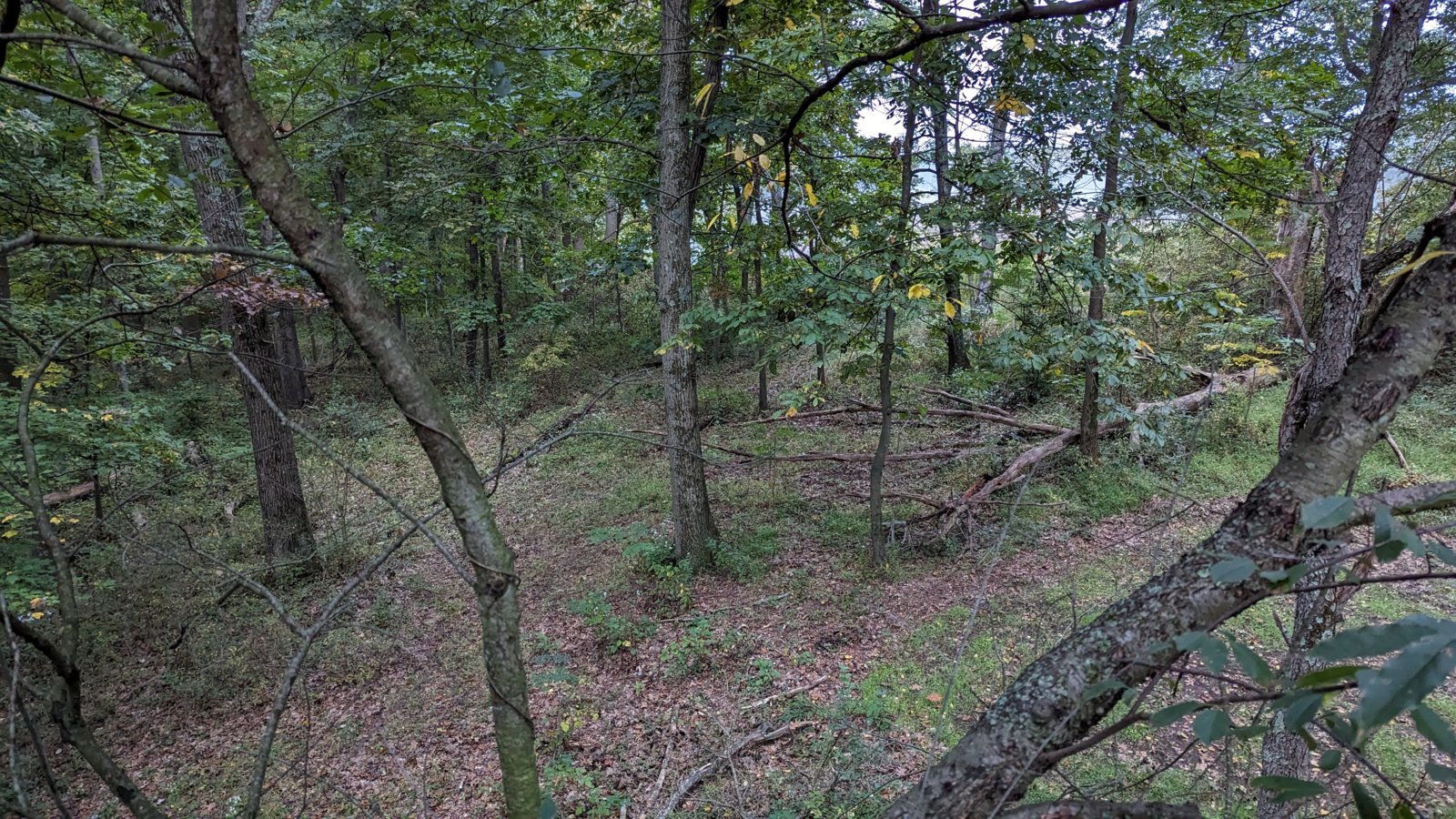 PXL_20231007_111017544.jpg