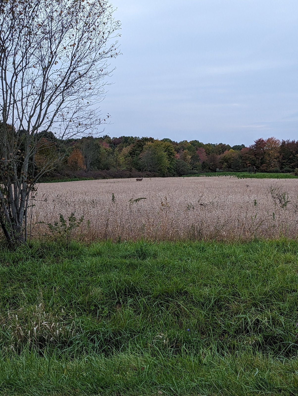 PXL_20231011_112923950.MP (1).jpg