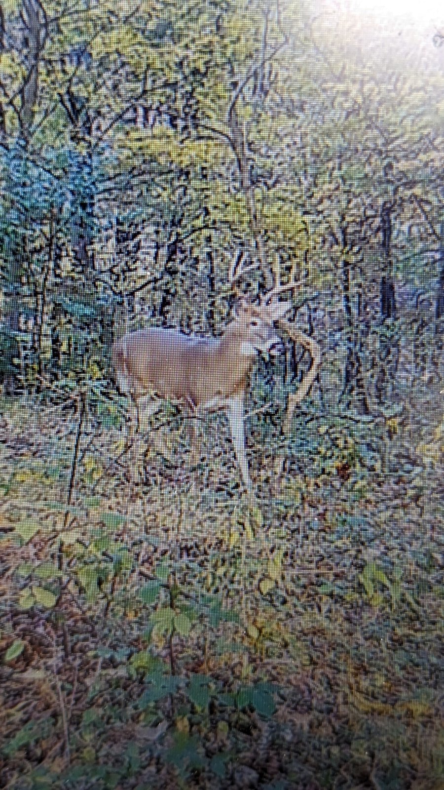 PXL_20231027_144452844.jpg