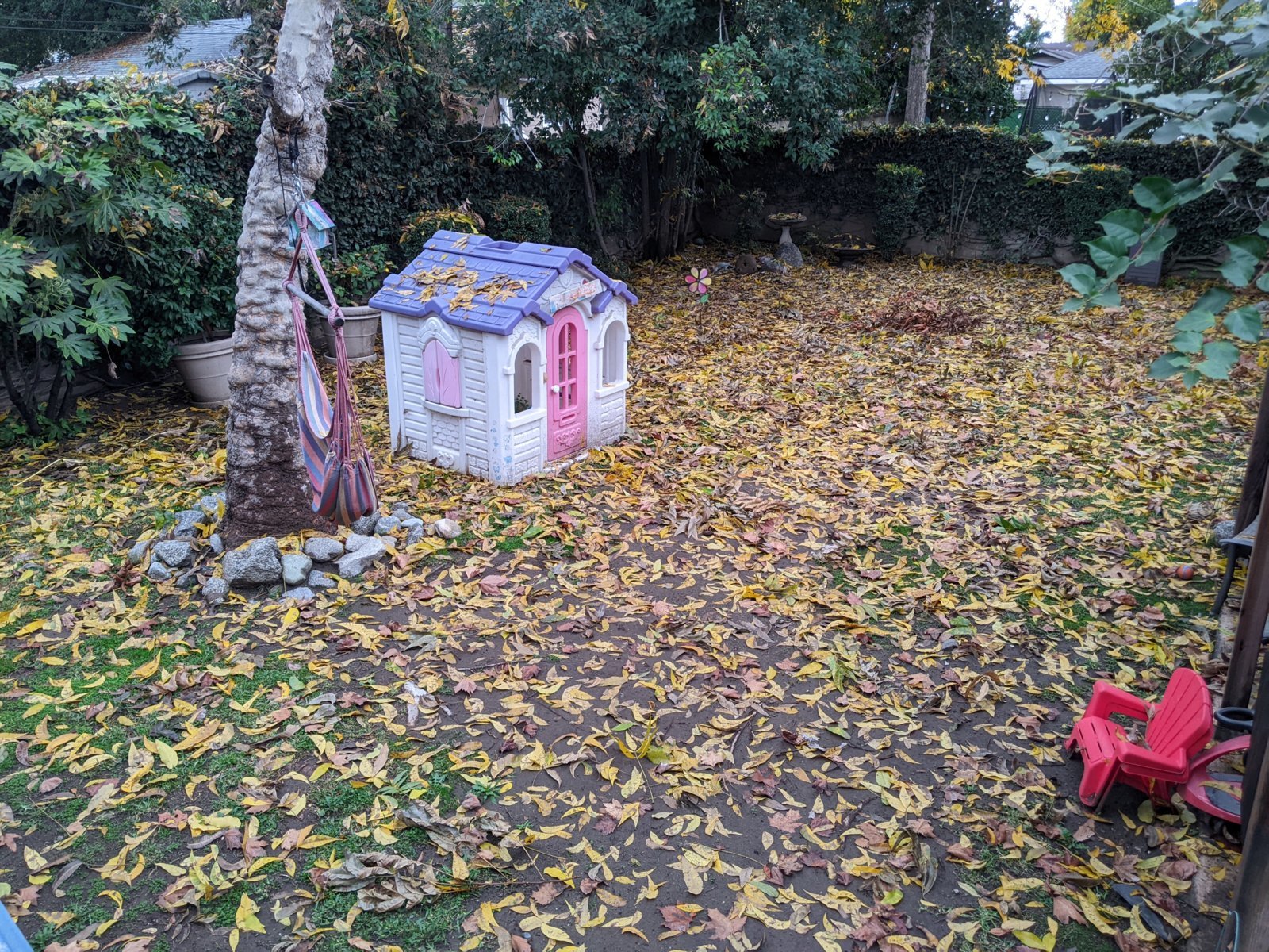 PXL_20231222_162305778.jpg