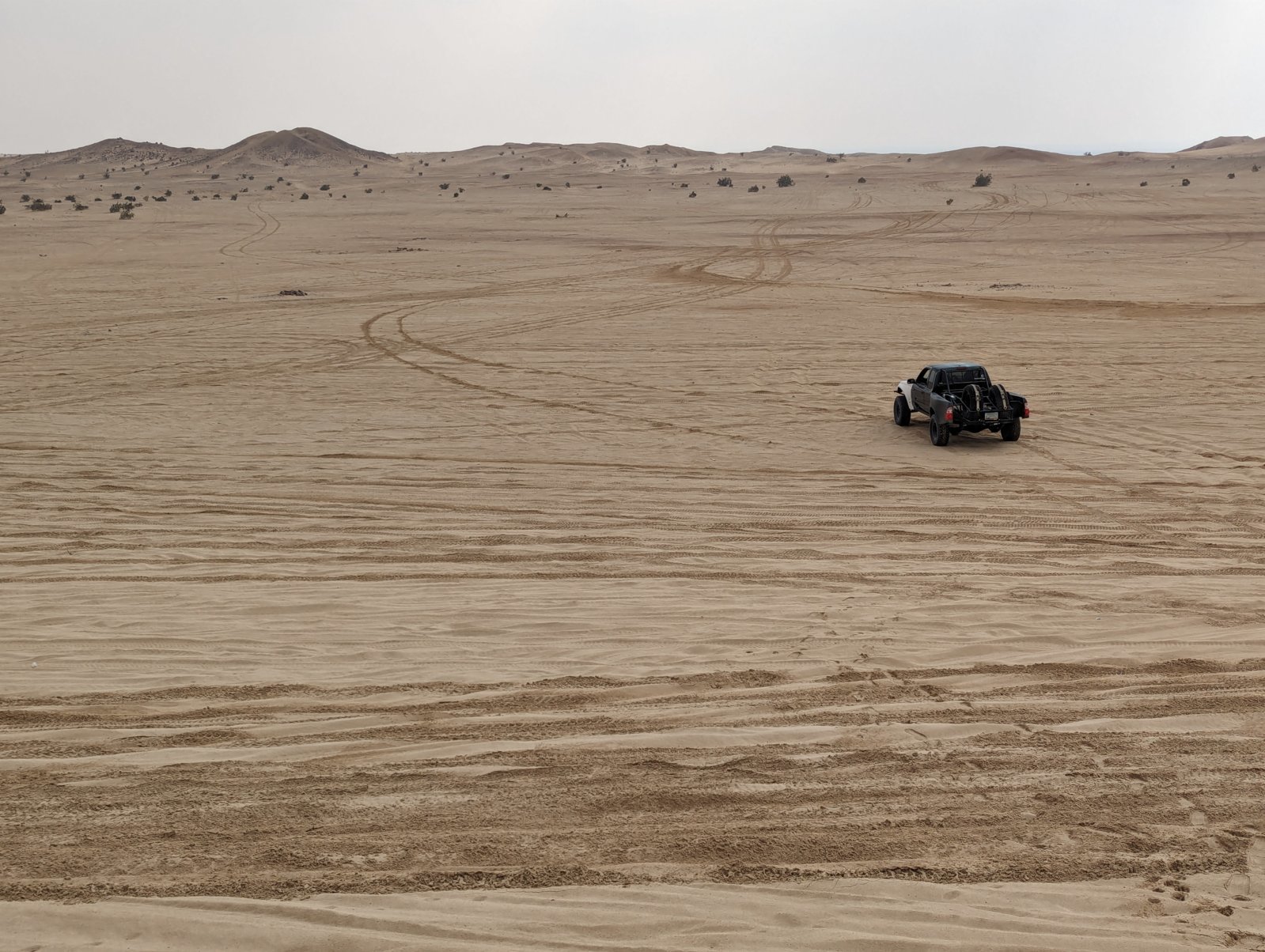 PXL_20240121_210430535.MP.jpg