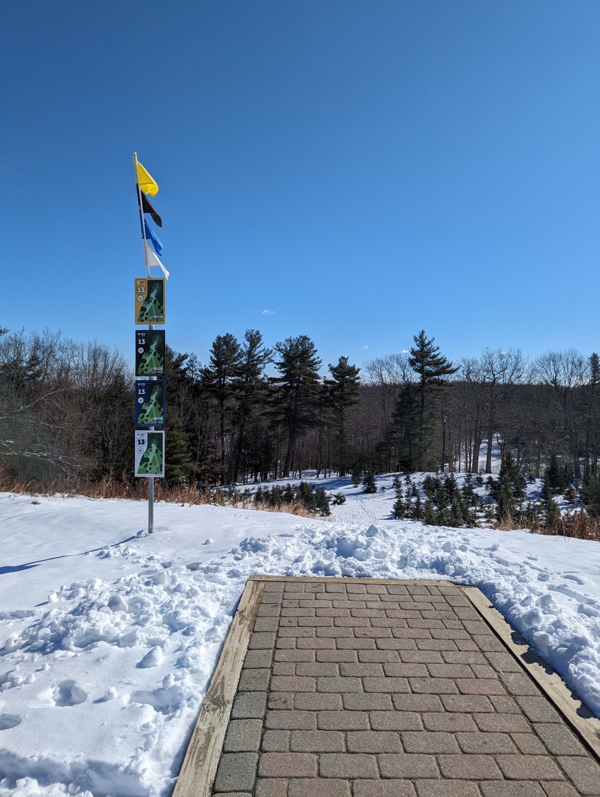 PXL_20240203_171500234.jpg