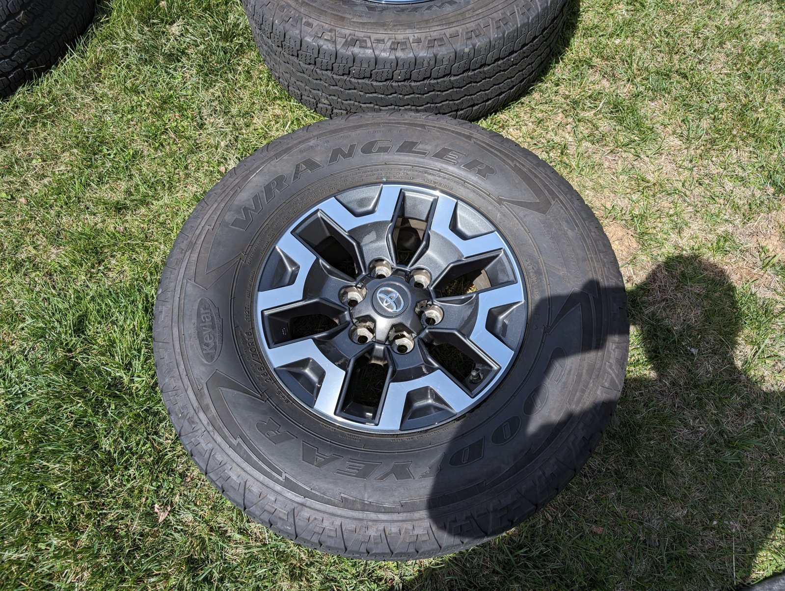 PXL_20240331_175248534.RAW-01.MP.COVER.jpg