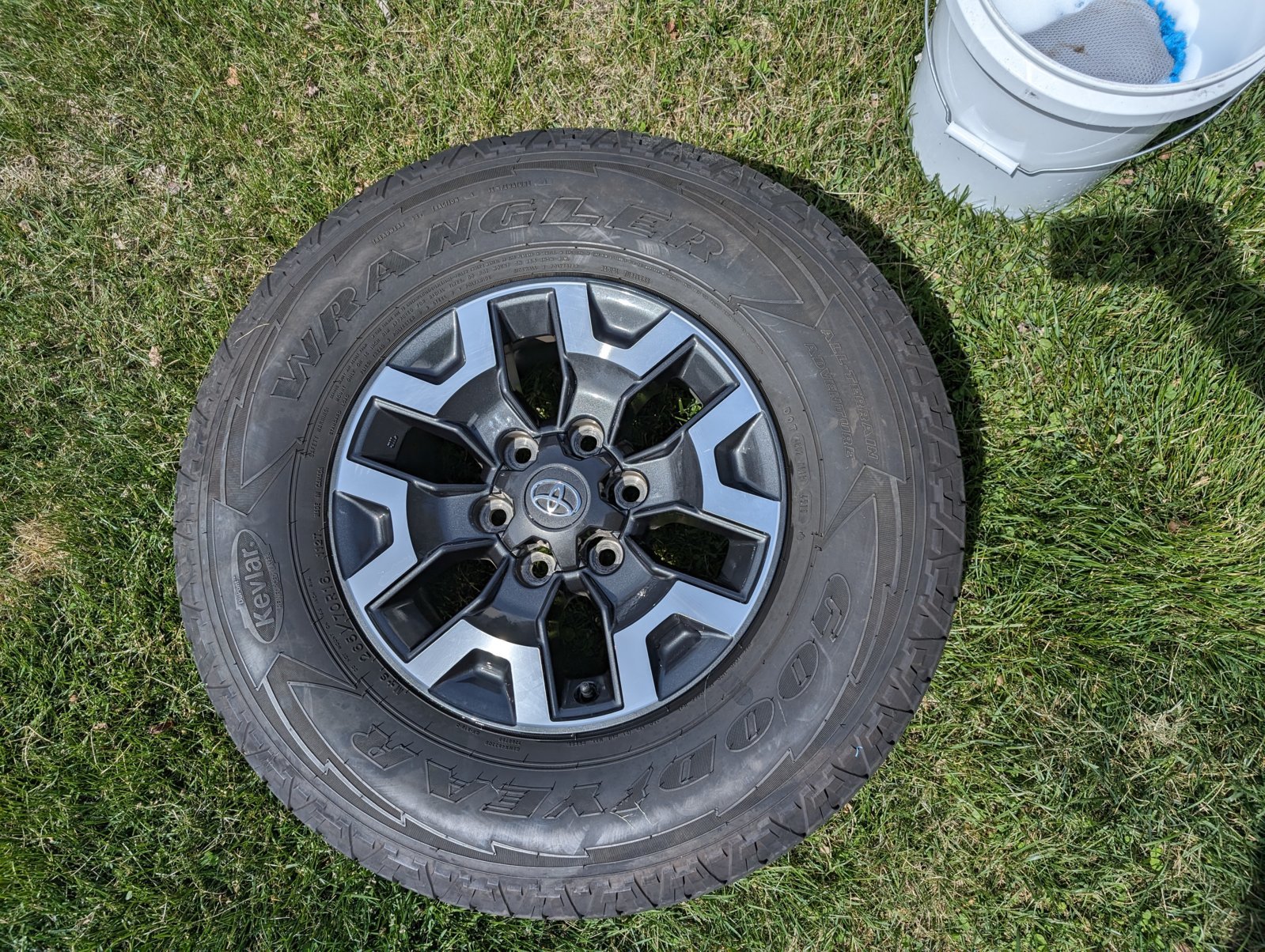PXL_20240331_175301501.RAW-01.MP.COVER.jpg