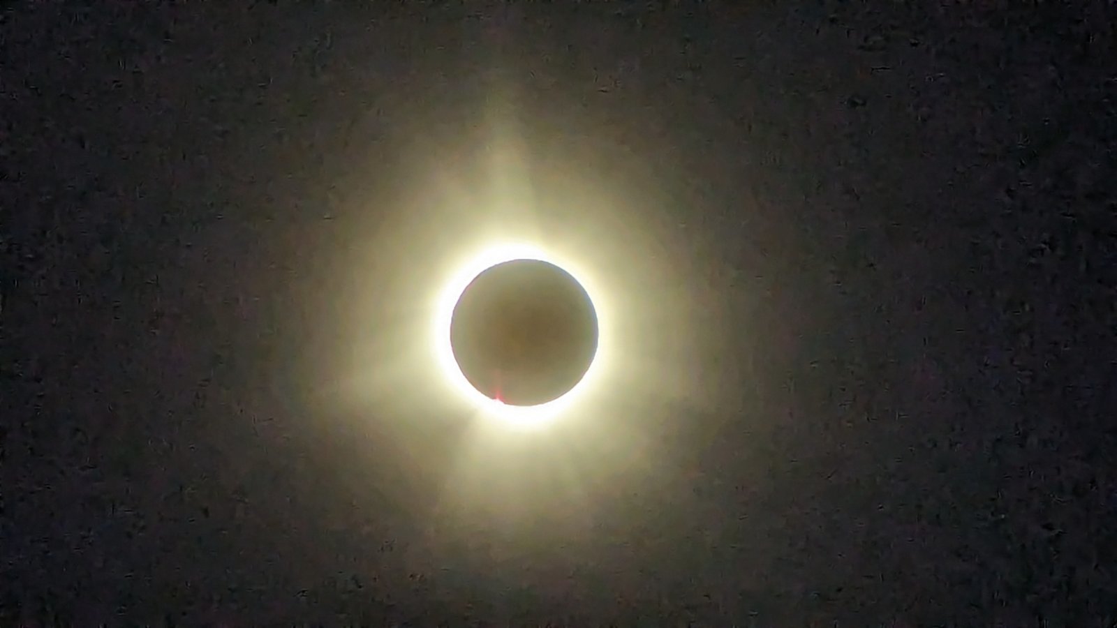 PXL_20240408_192818890.jpg