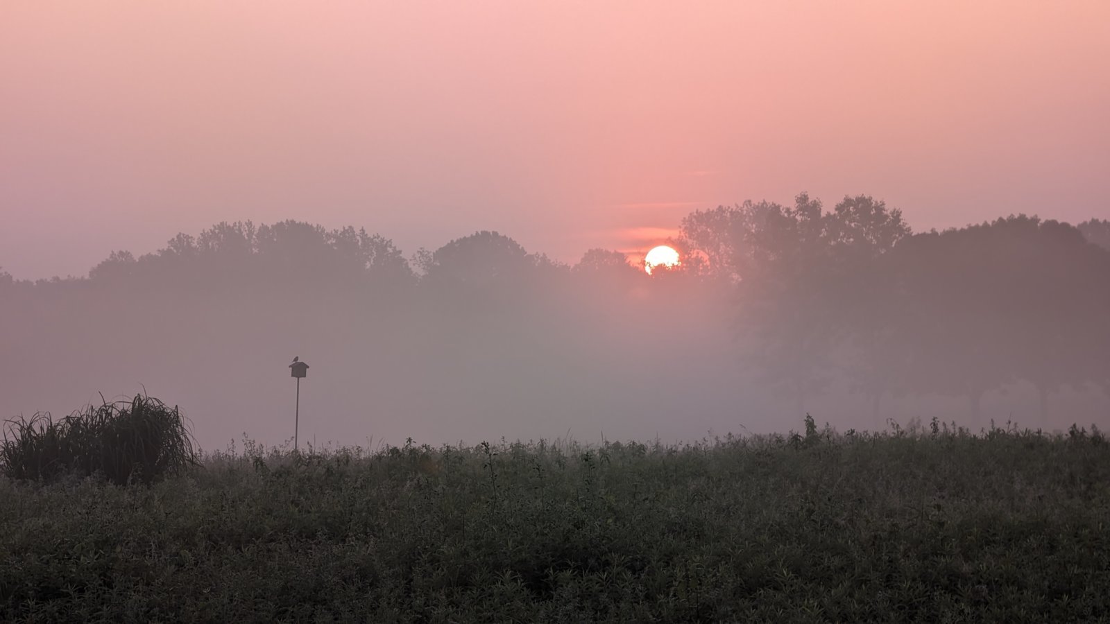 PXL_20240516_104433067.jpg