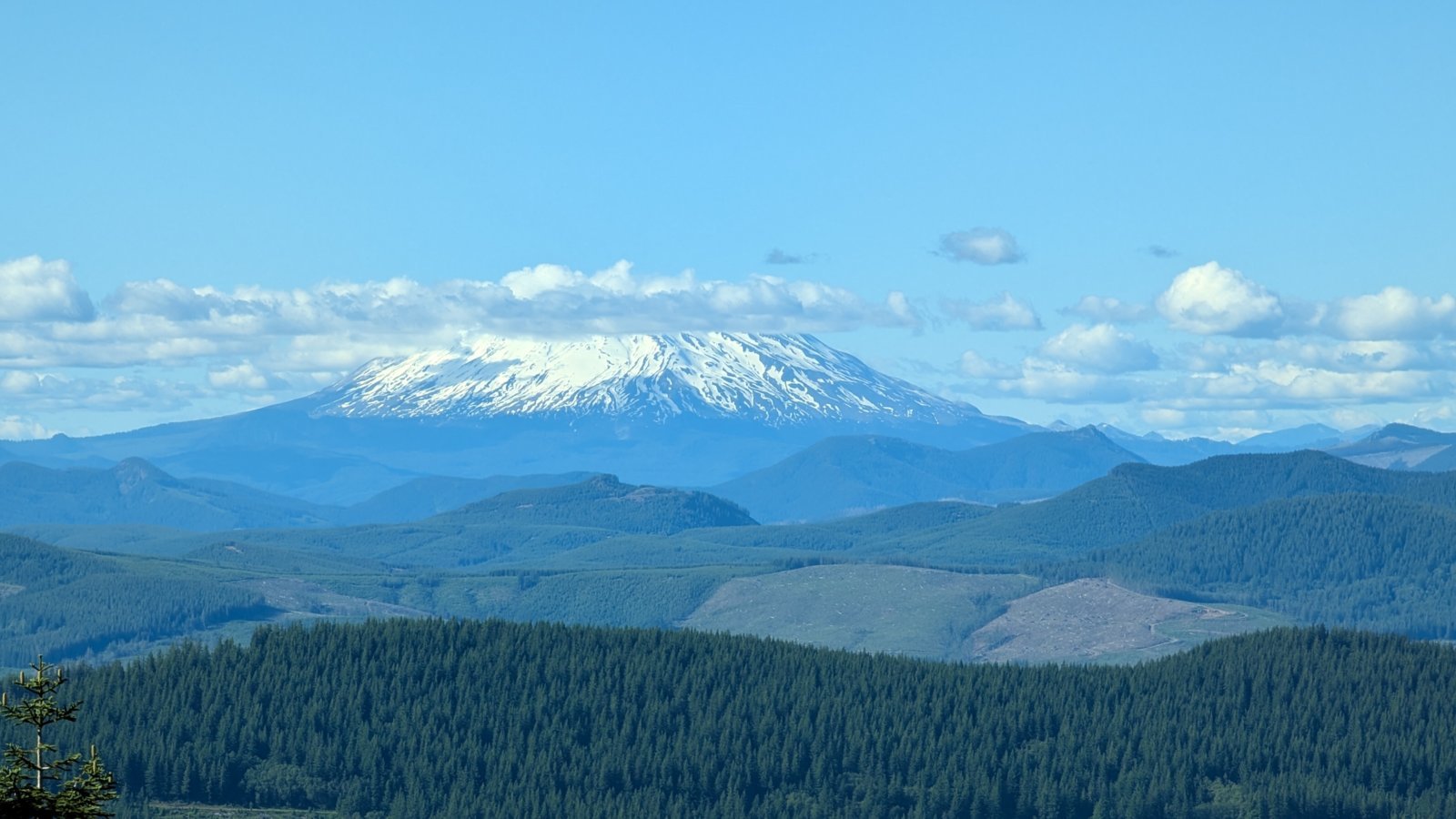 PXL_20240619_003357735.jpg