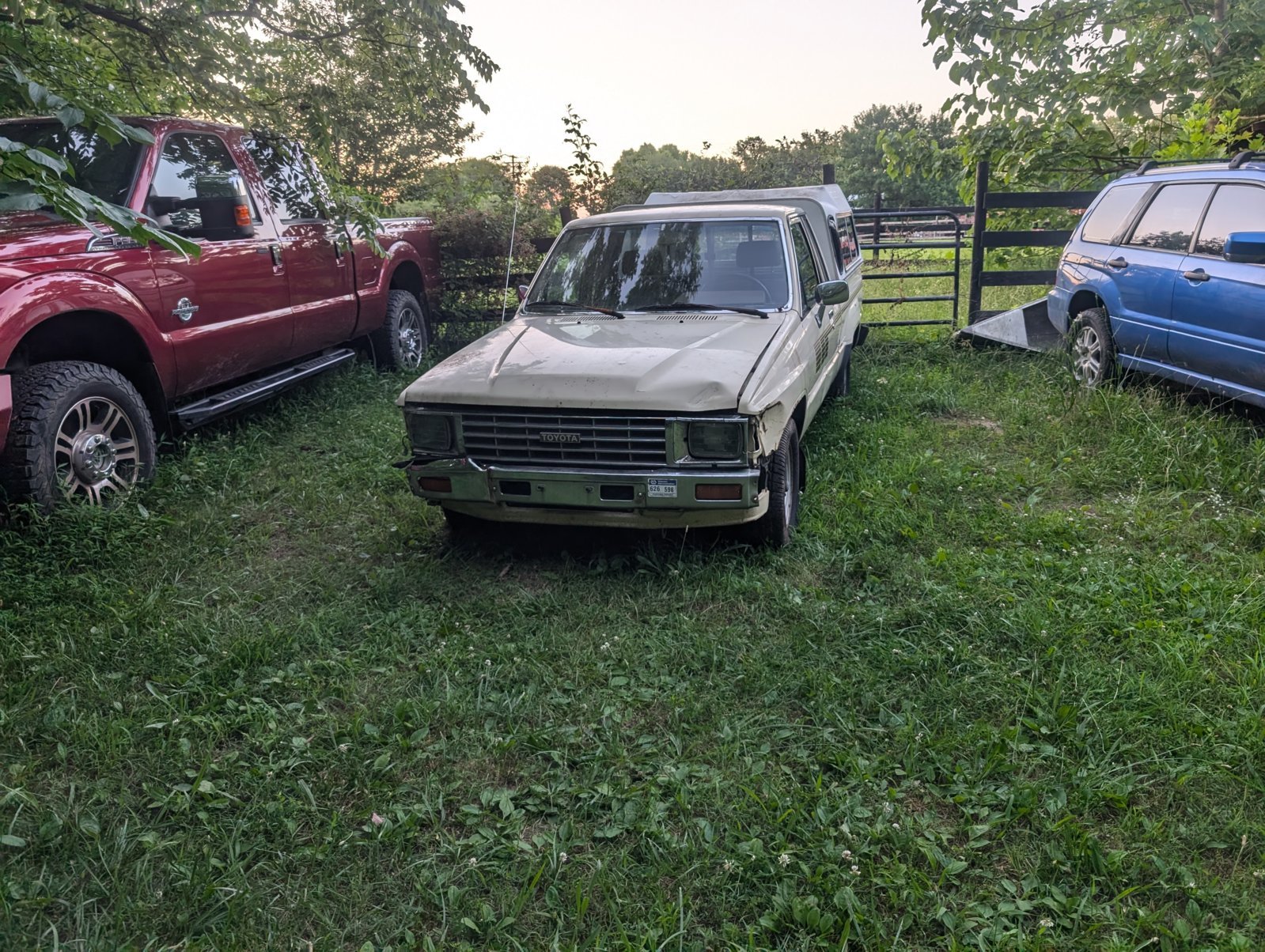 PXL_20240628_005900046.jpg