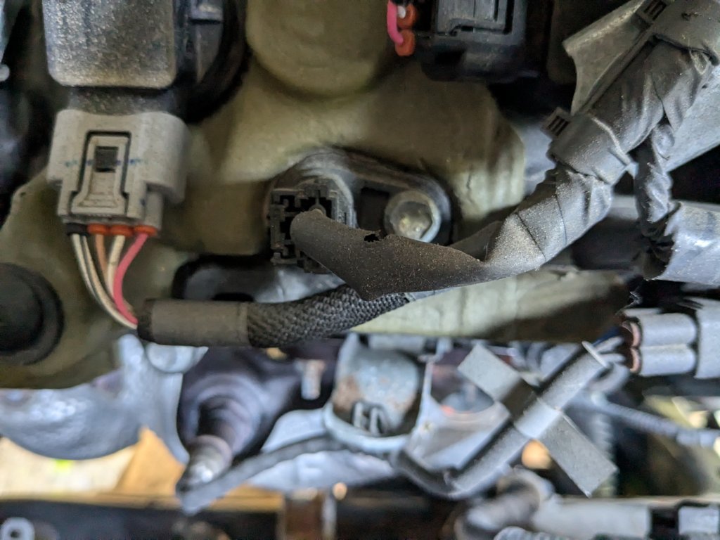 PXL_20240628_211724346.MP[1].jpg