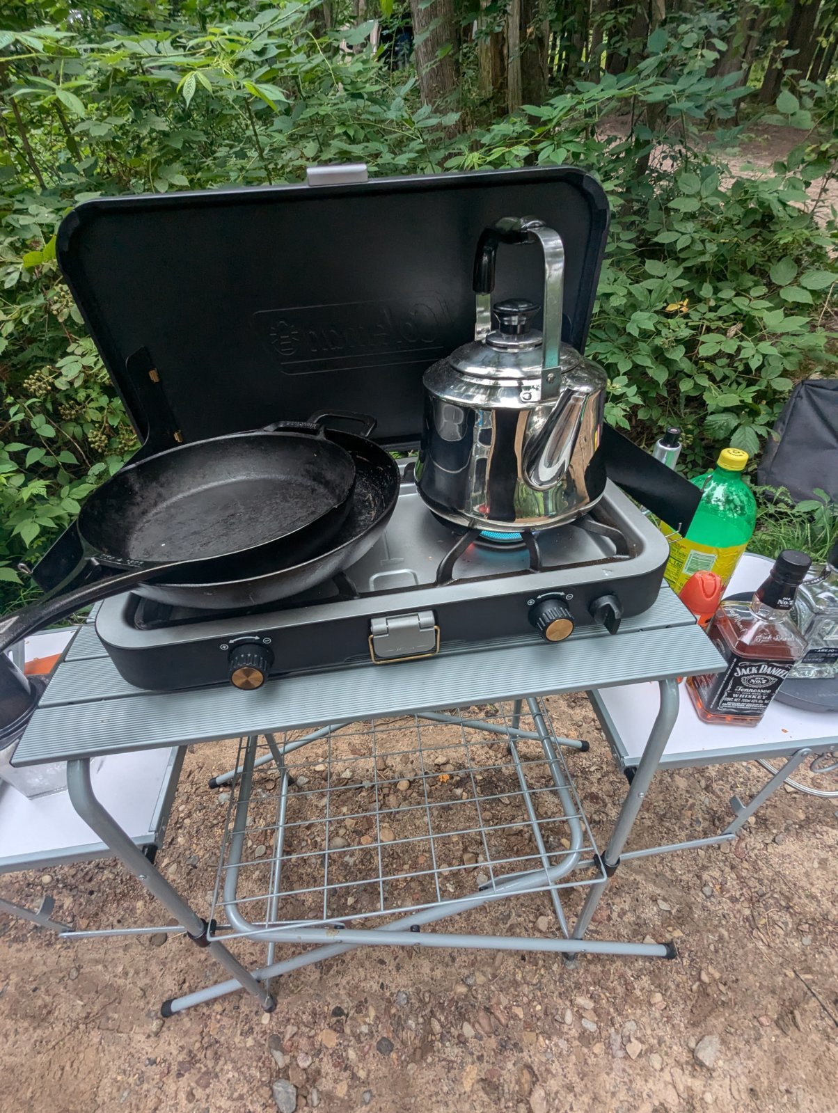 PXL_20240809_113654731.MP.jpg