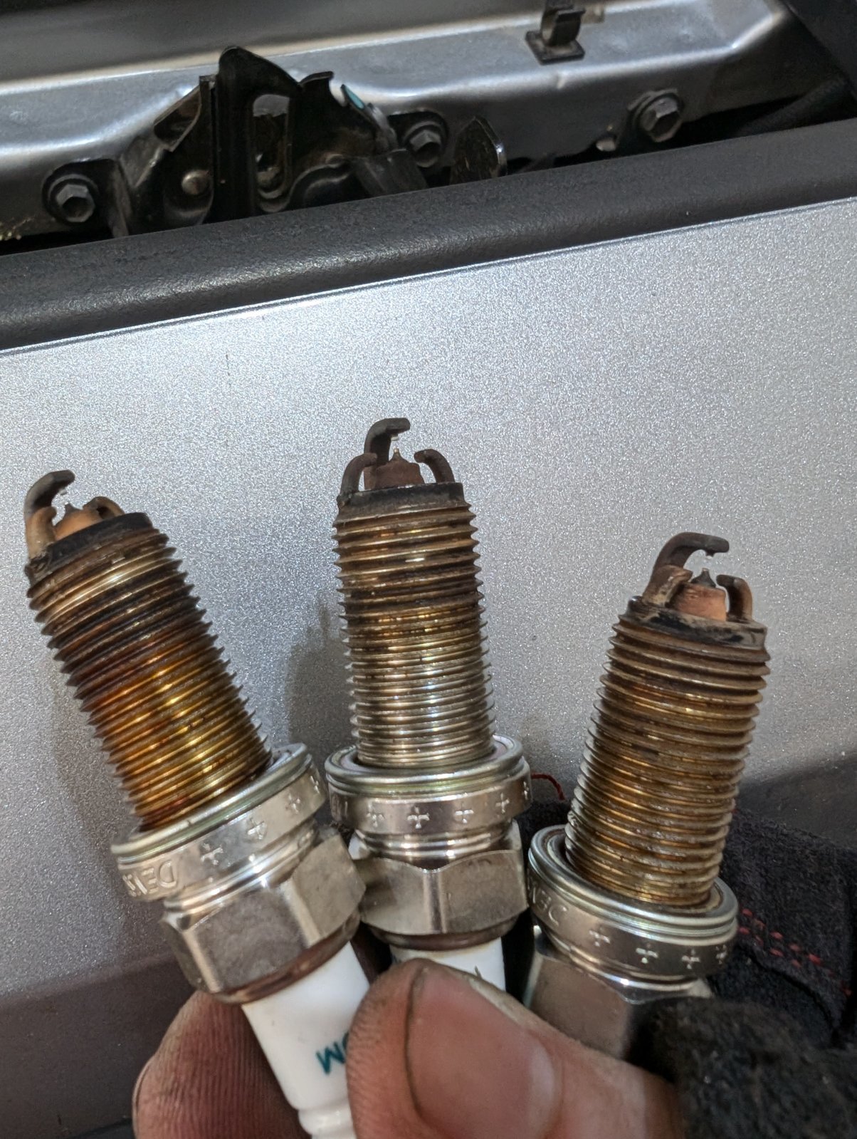 PXL_20240817_145342659.MP.jpg