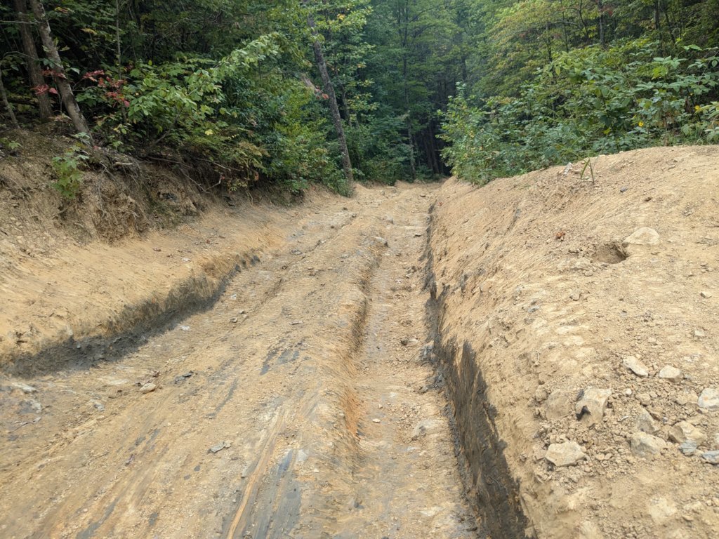 PXL_20240830_184905691.jpg