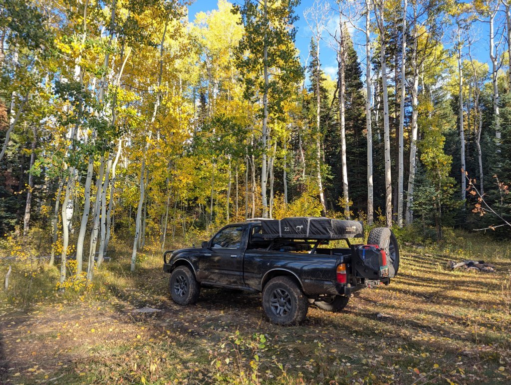 PXL_20240922_234920644.jpg