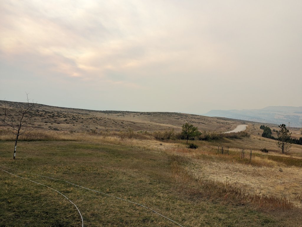 PXL_20241005_232458493.jpg